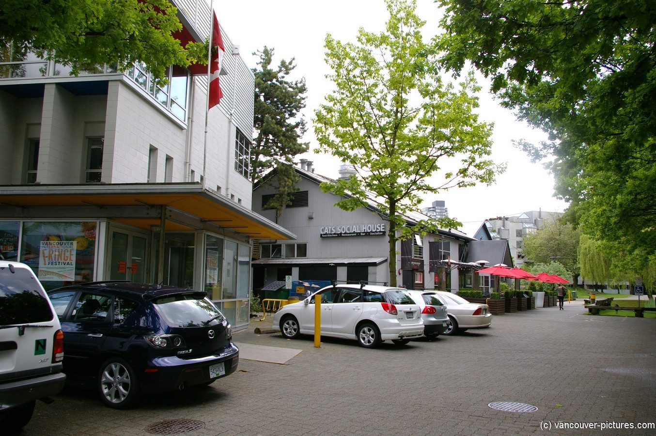 Cats Social House in Granville Island.jpg