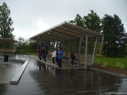 Chinese Vancouverite practicing Tai Chi during a rainy day at Queen Elizabeth Park.jpg