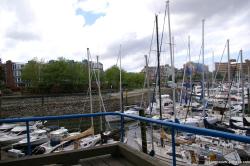 Yachts at Granville Island in Vancouver.jpg