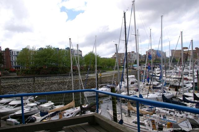 Yachts at Granville Island in Vancouver.jpg
