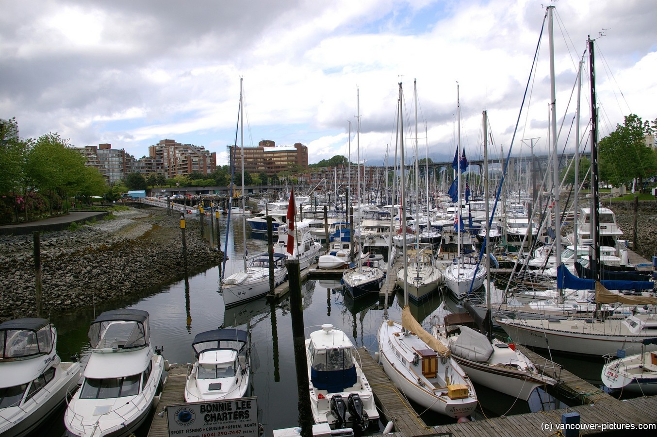 Yachts at Granville Island in Vancouver 2.jpg