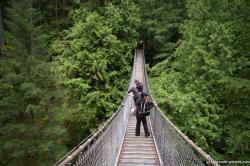 Joann looks down from the Lynn Canyon Suspension Bridge in Vancouver.jpg