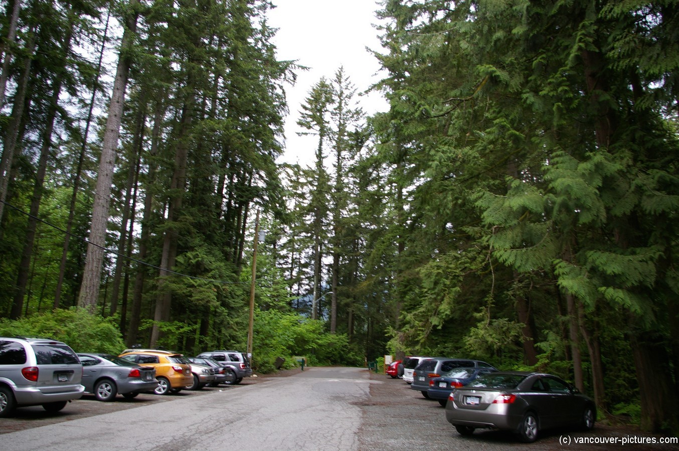 Lynn Canyon Park parking area.jpg