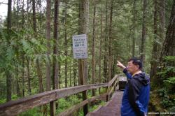 Lynn Canyon Park Vancouver tour guide.jpg