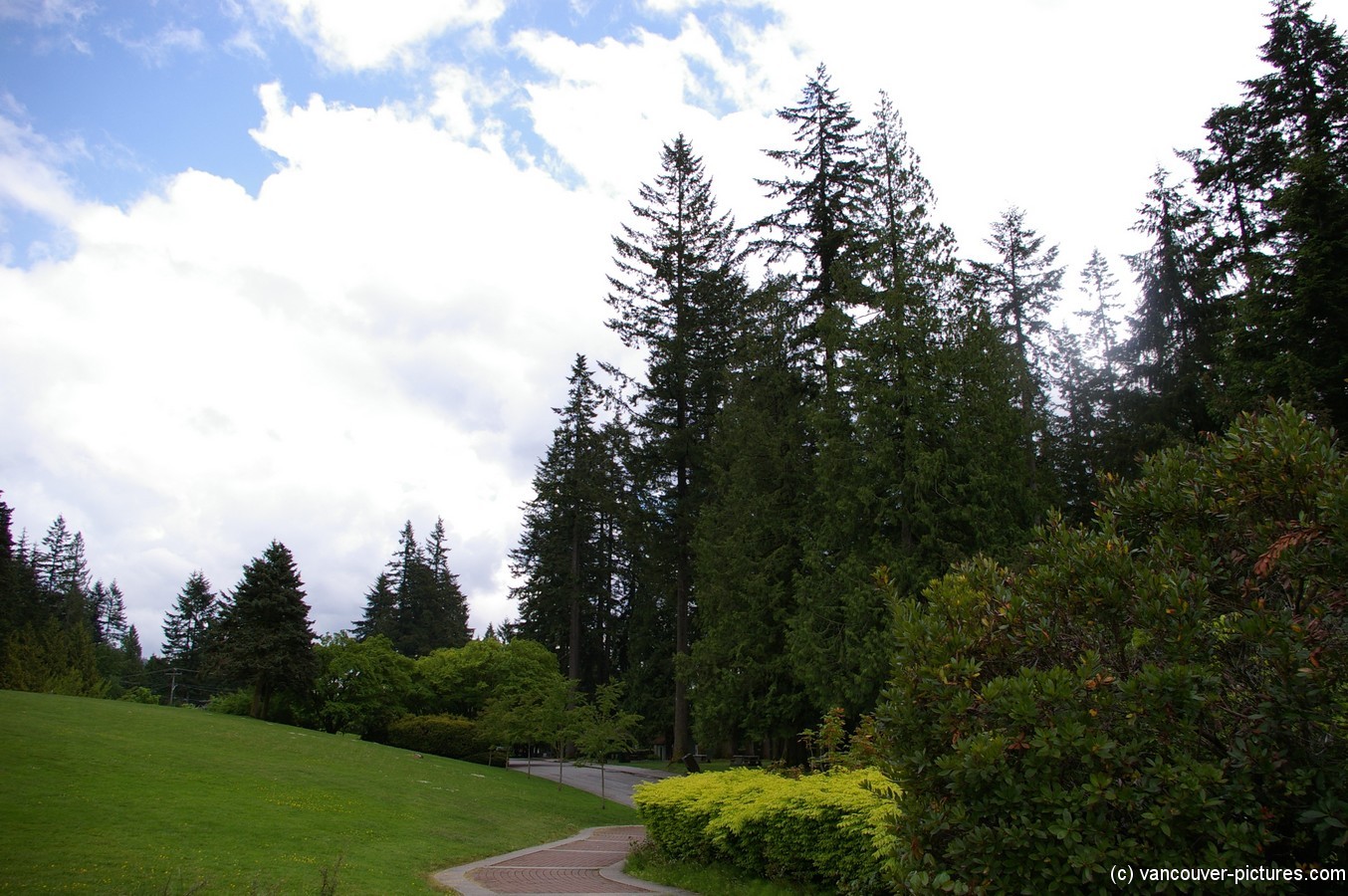 Park area near the Cleveland Dam in Vancouver.jpg