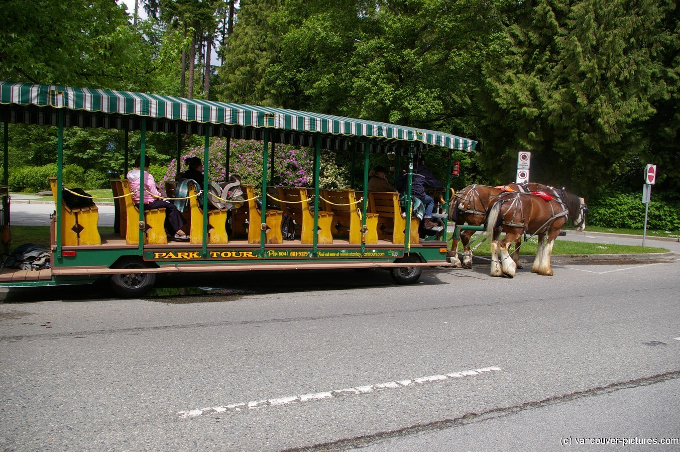 Park Tour horse carriage at Stanley Park in Vancouver.jpg