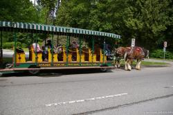 Park Tour horse carriage at Stanley Park in Vancouver.jpg