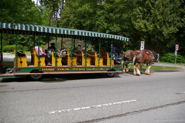 Park Tour horse carriage at Stanley Park in Vancouver.jpg