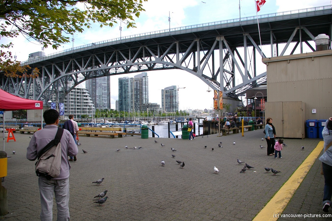 Pigeons right outside the Granville Island market.jpg