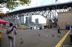 Pigeons right outside the Granville Island market.jpg
