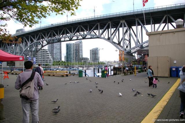 Pigeons right outside the Granville Island market.jpg