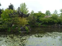 Pond in the Sun Yat Sen Park in Vancouver.jpg