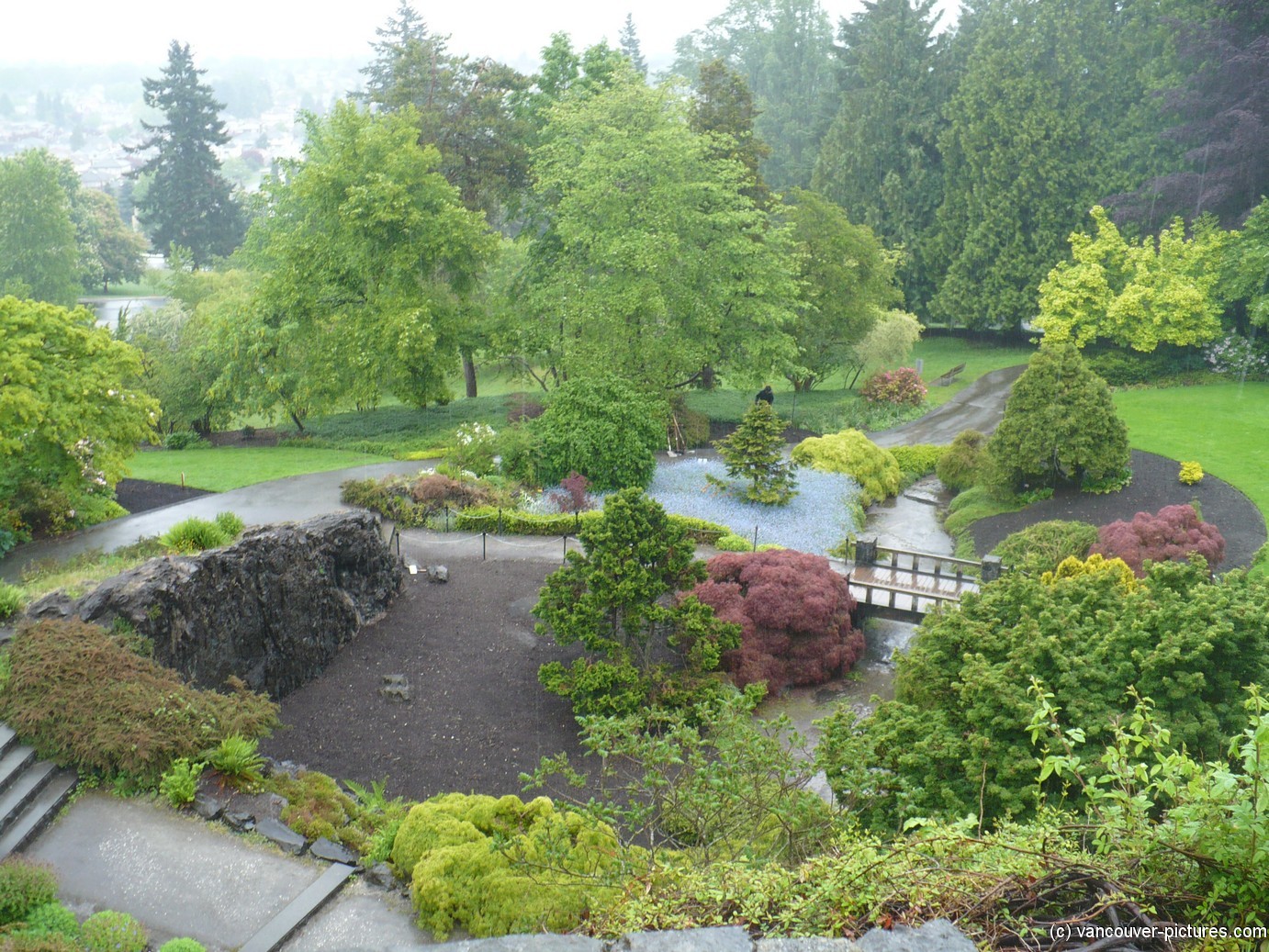 Queen Elizabeth Park Anniversary Quarry Garden in Vancouver.jpg