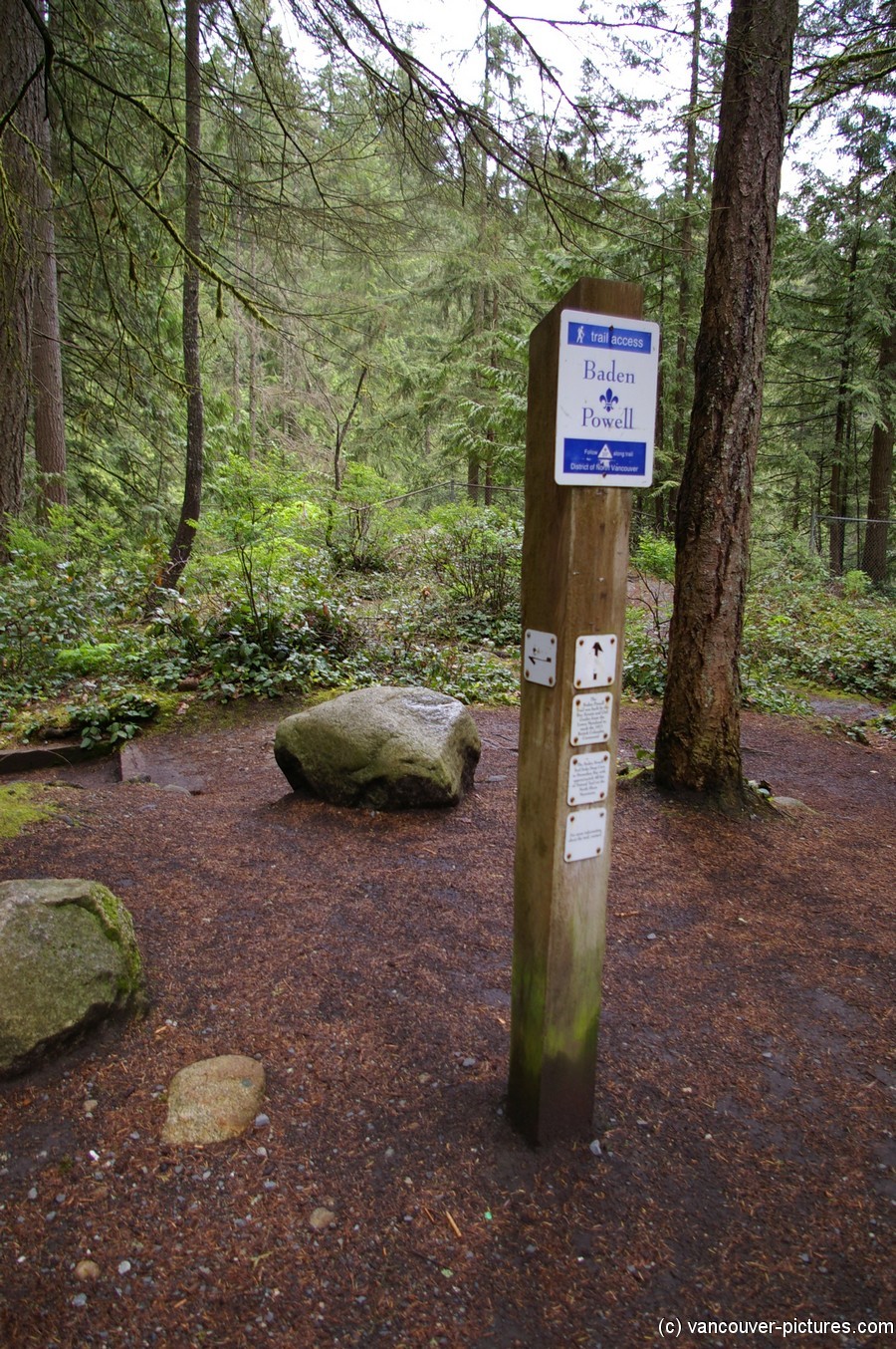 Baden Powell trail at Lynn Canyon Park in Vancouver.jpg