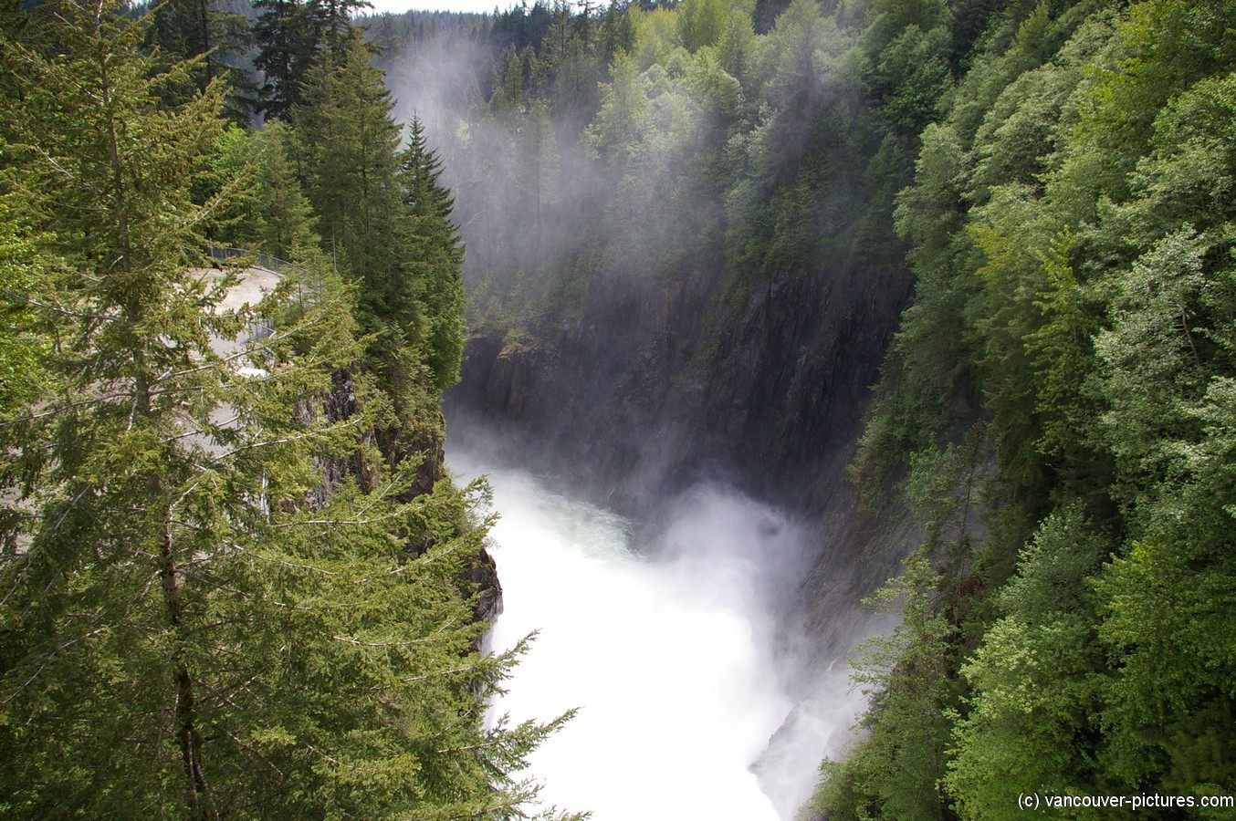 Rushing water and water vapor below Cleveland Dam.jpg
