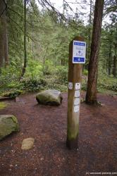 Baden Powell trail at Lynn Canyon Park in Vancouver.jpg