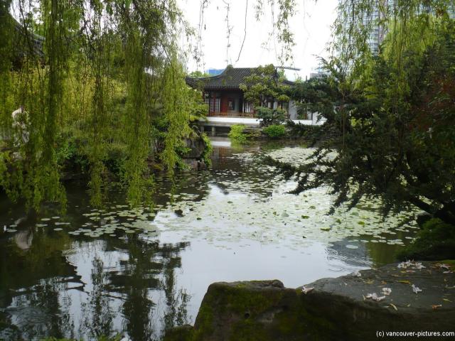 Sun Yat Sen Park in Vancouver.jpg