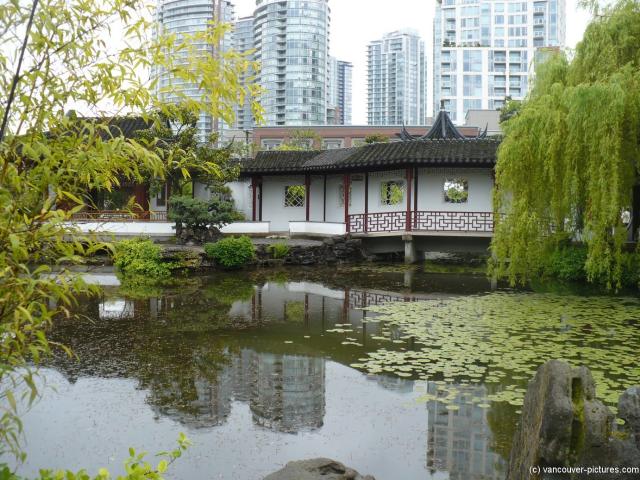 The old and the new at Sun Yat Sen Park in Vancouver.jpg