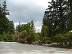 Trees and flowers at the Capilano park and Cleveland Dam area.jpg