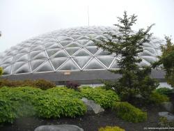 Bloedel Conservatory at Queen Elizabeth Park in Vancouver (2).jpg