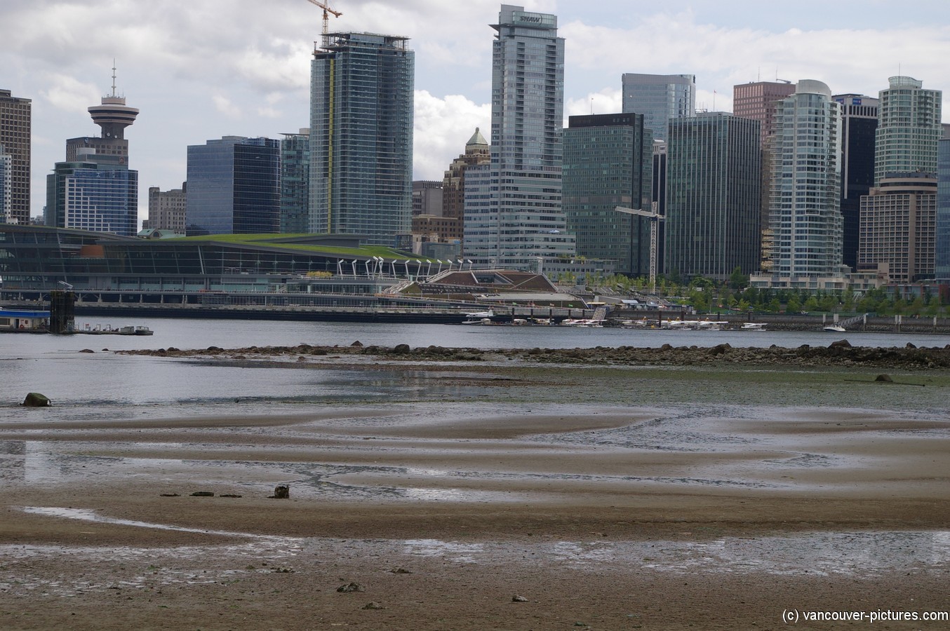View of Vancouver from Stanley Park (4).jpg