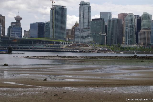 View of Vancouver from Stanley Park (4).jpg