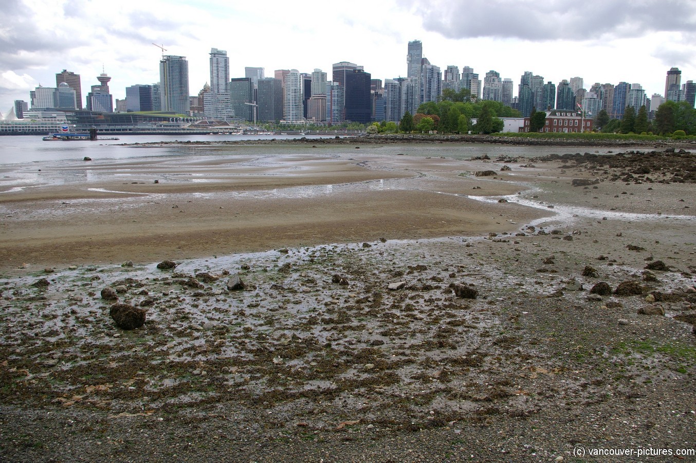View of Vancouver from Stanley Park (6).jpg