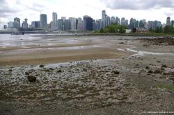 View of Vancouver from Stanley Park (6).jpg