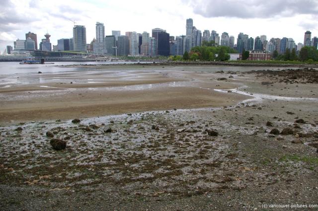 View of Vancouver from Stanley Park (6).jpg