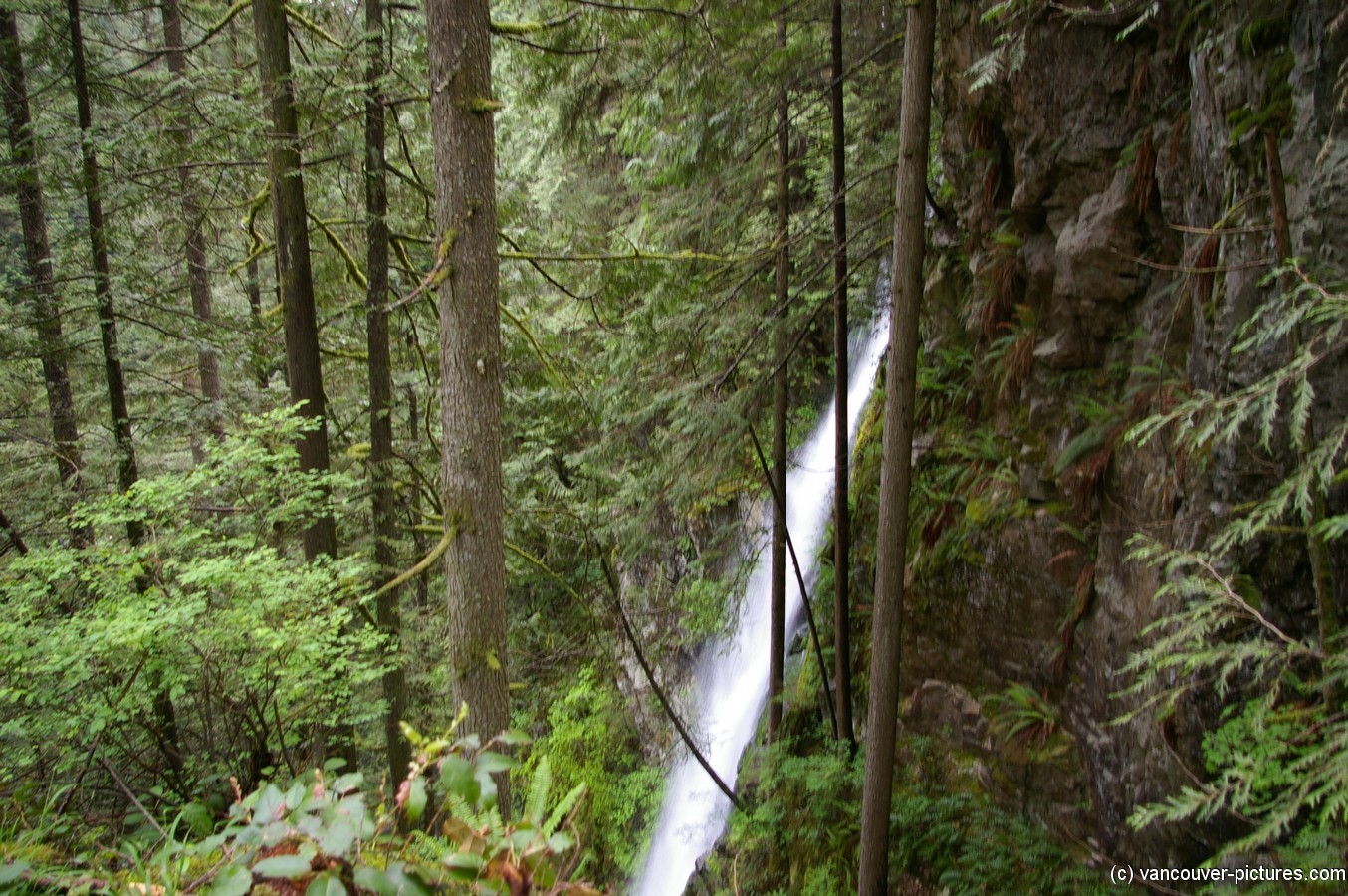Waterfall at the Lynn Canyon Park.jpg