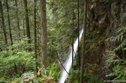 Waterfall at the Lynn Canyon Park.jpg