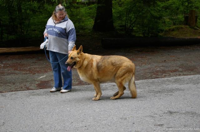 Woman and her big dog at Lynn Canyon Park in Vancouver.jpg