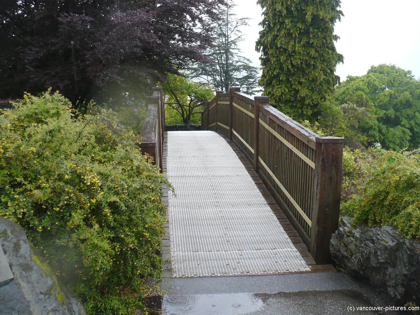 Wooden bridge at Queen Elizabeth Park in Vancouver.jpg