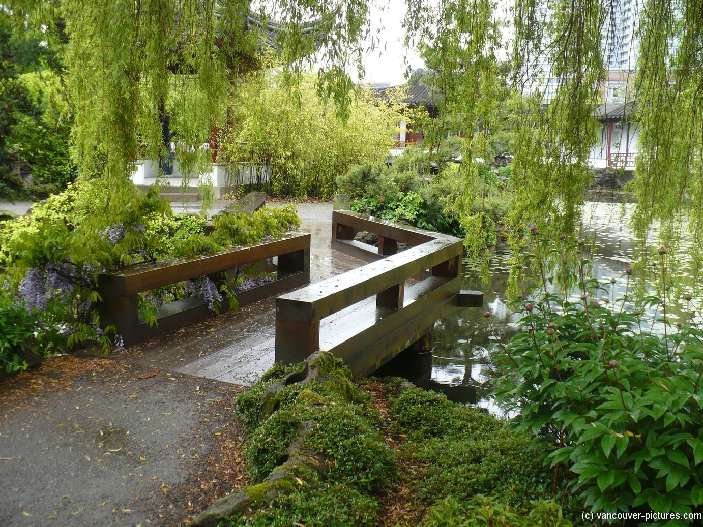 Wooden bridge at the Sun Yat Sen Park in Vancouver.jpg