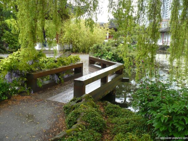 Wooden bridge at the Sun Yat Sen Park in Vancouver.jpg